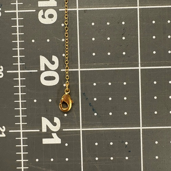 Catherine Weitzman February Birthstone Shaker Necklace - Picture 7 of 8